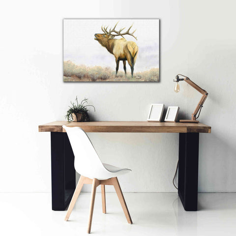 Image of 'Majestic Elk' by James Wiens, Canvas Wall Art,40 x 26