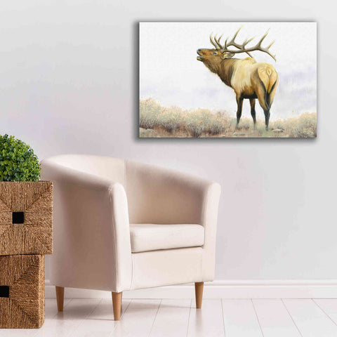 Image of 'Majestic Elk' by James Wiens, Canvas Wall Art,40 x 26