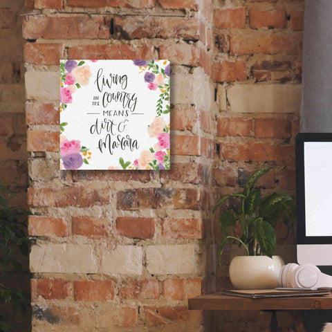 Image of 'Beautiful Country V' by James Wiens, Canvas Wall Art,12 x 12