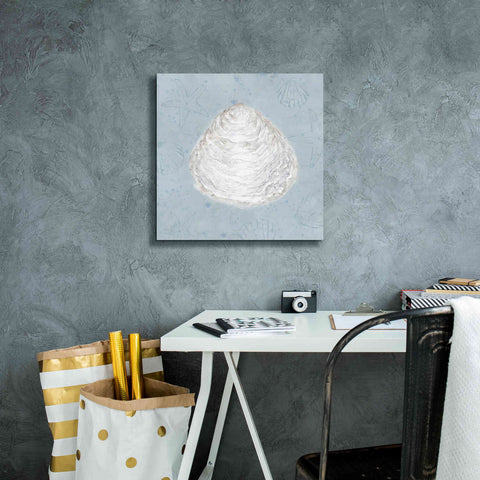 Image of 'Serene Shells I' by James Wiens, Canvas Wall Art,18 x 18