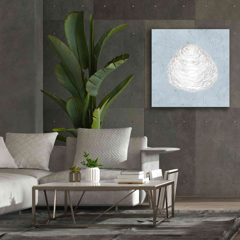 Image of 'Serene Shells I' by James Wiens, Canvas Wall Art,37 x 37