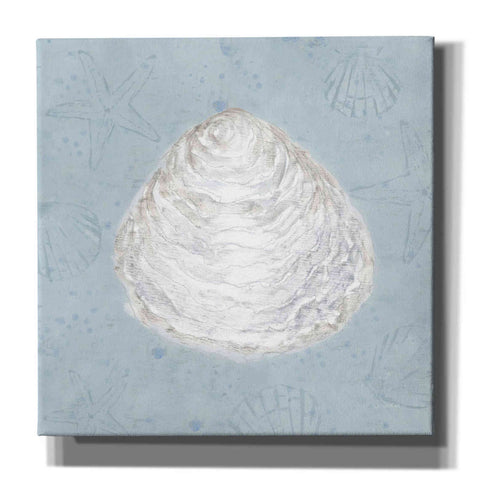 Image of 'Serene Shells I' by James Wiens, Canvas Wall Art,12x12x1.1x0,18x18x1.1x0,26x26x1.74x0,37x37x1.74x0