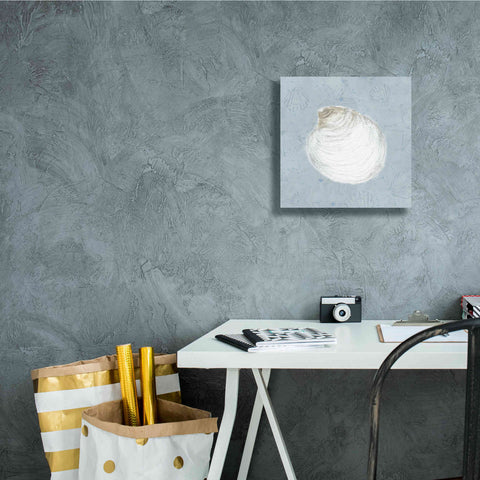 Image of 'Serene Shells II' by James Wiens, Canvas Wall Art,12 x 12
