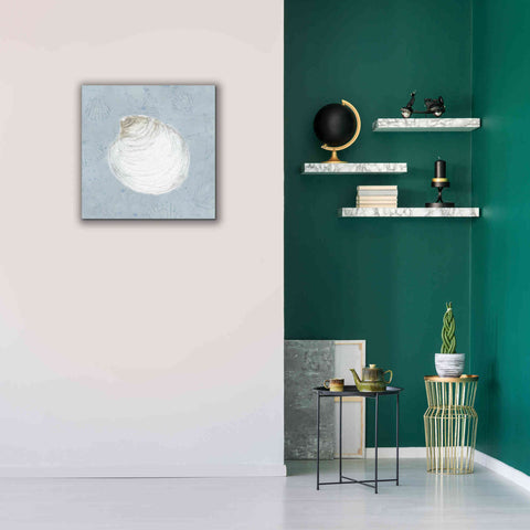 Image of 'Serene Shells II' by James Wiens, Canvas Wall Art,26 x 26