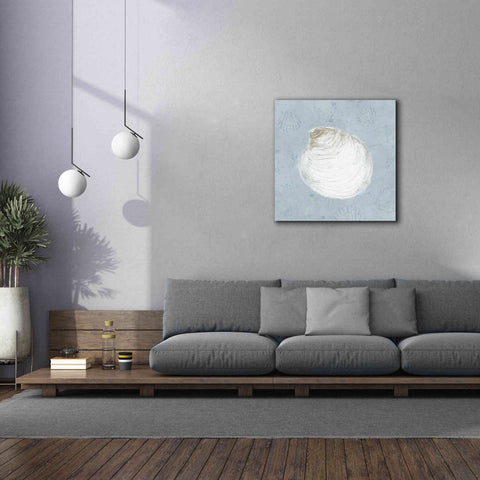 Image of 'Serene Shells II' by James Wiens, Canvas Wall Art,37 x 37