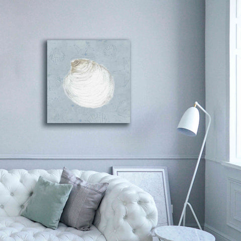 Image of 'Serene Shells II' by James Wiens, Canvas Wall Art,37 x 37