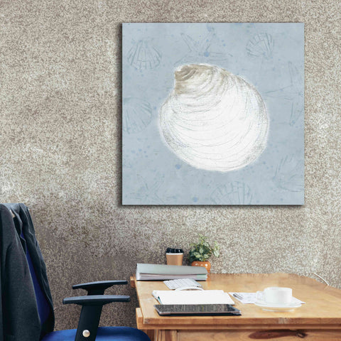 Image of 'Serene Shells II' by James Wiens, Canvas Wall Art,37 x 37