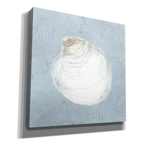 Image of 'Serene Shells II' by James Wiens, Canvas Wall Art,12x12x1.1x0,18x18x1.1x0,26x26x1.74x0,37x37x1.74x0