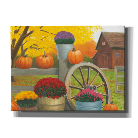 Image of 'Autumn Affinity II' by James Wiens, Canvas Wall Art,16x12x1.1x0,26x18x1.1x0,34x26x1.74x0,54x40x1.74x0