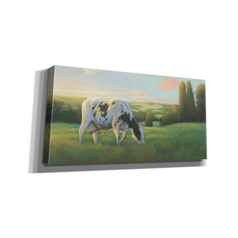 Image of 'Farm Life I' by James Wiens, Canvas Wall Art,24x12x1.1x0,40x20x1.74x0,60x30x1.74x0