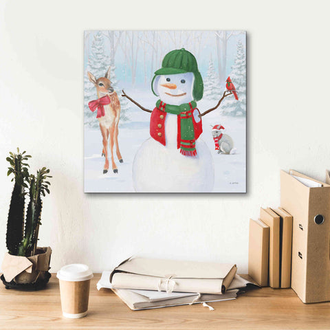 Image of 'Dressed for Christmas I Crop' by James Wiens, Canvas Wall Art,18 x 18