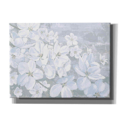 Image of 'Grand Array II' by James Wiens, Canvas Wall Art,16x12x1.1x0,26x18x1.1x0,34x26x1.74x0,54x40x1.74x0