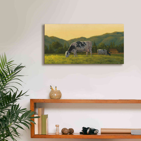 Image of 'Farm Life III' by James Wiens, Canvas Wall Art,24 x 12