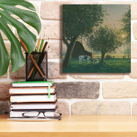 Image of 'Farm Life IV' by James Wiens, Canvas Wall Art,12 x 12