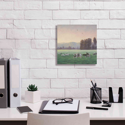 Image of 'Farm Life V' by James Wiens, Canvas Wall Art,12 x 12