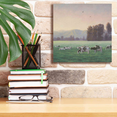 Image of 'Farm Life V' by James Wiens, Canvas Wall Art,12 x 12