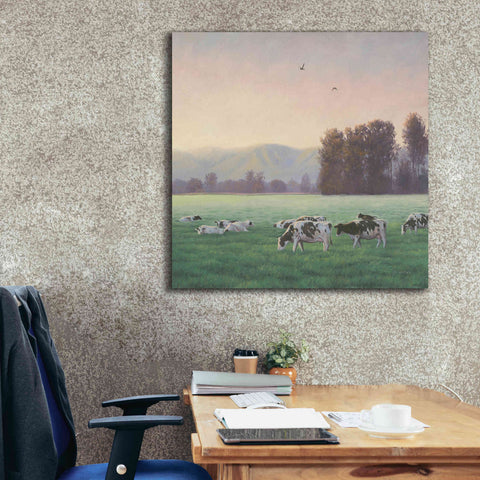Image of 'Farm Life V' by James Wiens, Canvas Wall Art,37 x 37