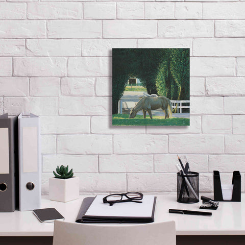 Image of 'Farm Life VI' by James Wiens, Canvas Wall Art,12 x 12