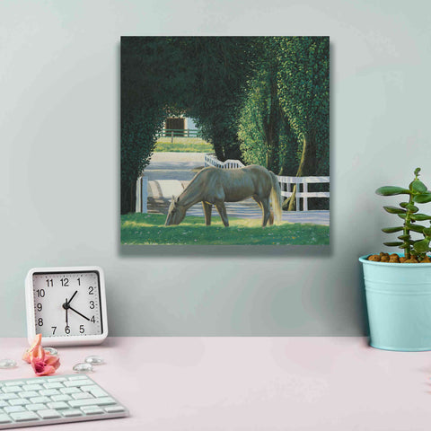 Image of 'Farm Life VI' by James Wiens, Canvas Wall Art,12 x 12