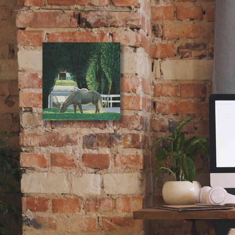 Image of 'Farm Life VI' by James Wiens, Canvas Wall Art,12 x 12