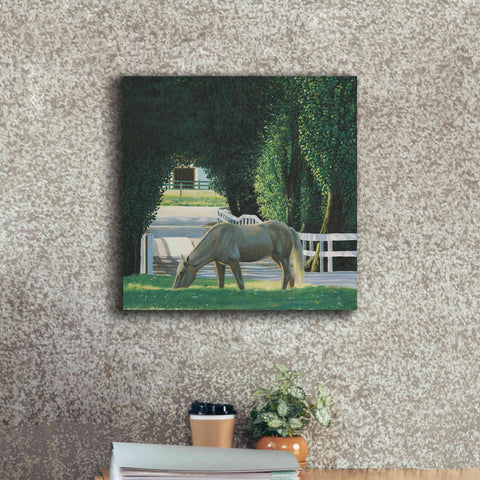 Image of 'Farm Life VI' by James Wiens, Canvas Wall Art,18 x 18