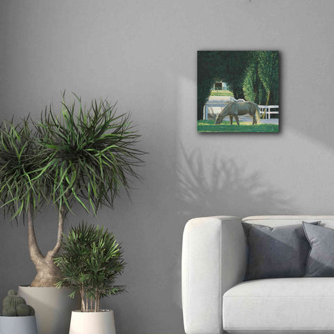 Image of 'Farm Life VI' by James Wiens, Canvas Wall Art,18 x 18