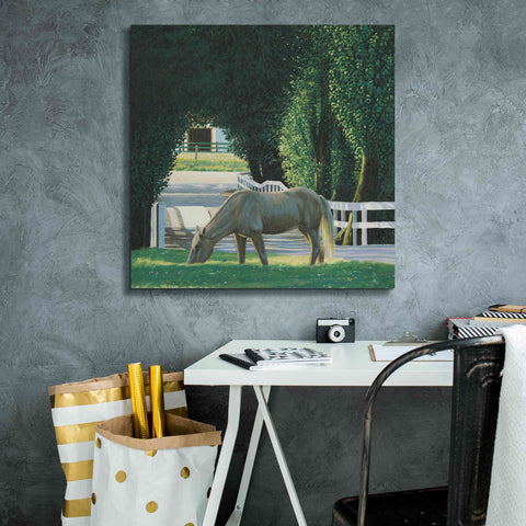 Image of 'Farm Life VI' by James Wiens, Canvas Wall Art,26 x 26