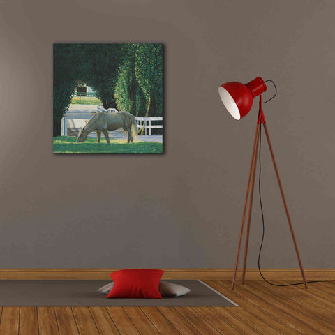 Image of 'Farm Life VI' by James Wiens, Canvas Wall Art,26 x 26