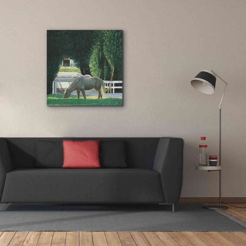 Image of 'Farm Life VI' by James Wiens, Canvas Wall Art,37 x 37