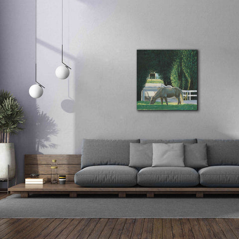 Image of 'Farm Life VI' by James Wiens, Canvas Wall Art,37 x 37