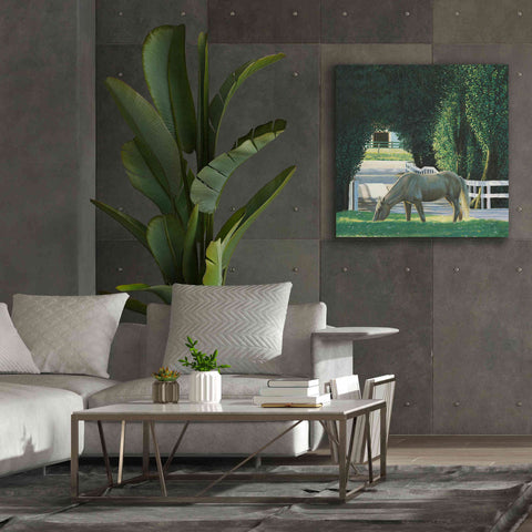 Image of 'Farm Life VI' by James Wiens, Canvas Wall Art,37 x 37