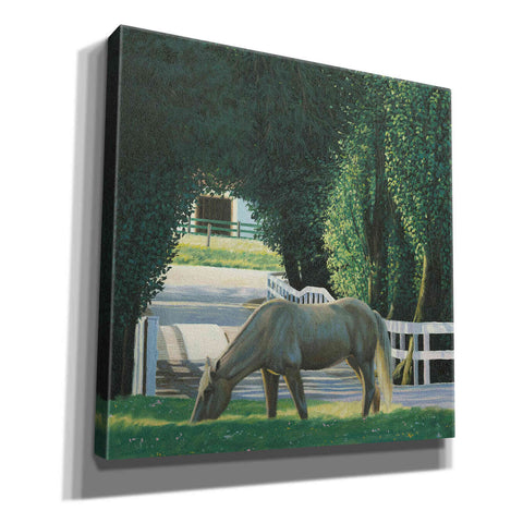 Image of 'Farm Life VI' by James Wiens, Canvas Wall Art,12x12x1.1x0,18x18x1.1x0,26x26x1.74x0,37x37x1.74x0