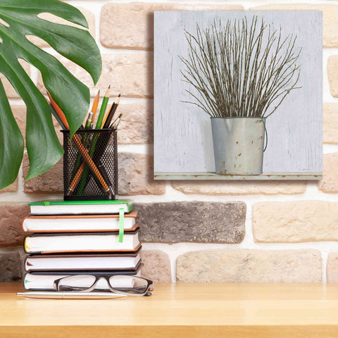 Image of 'Early Spring' by James Wiens, Canvas Wall Art,12 x 12