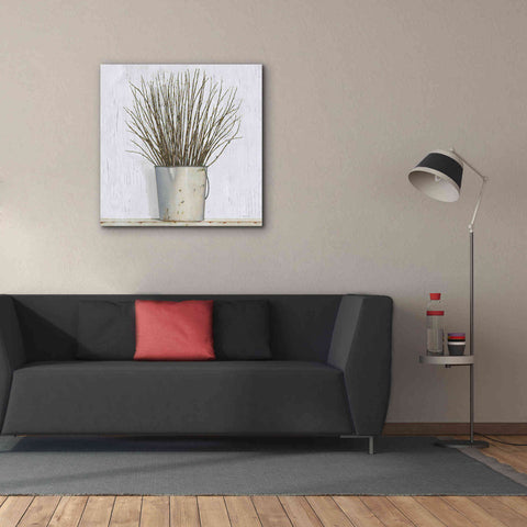 Image of 'Early Spring' by James Wiens, Canvas Wall Art,37 x 37