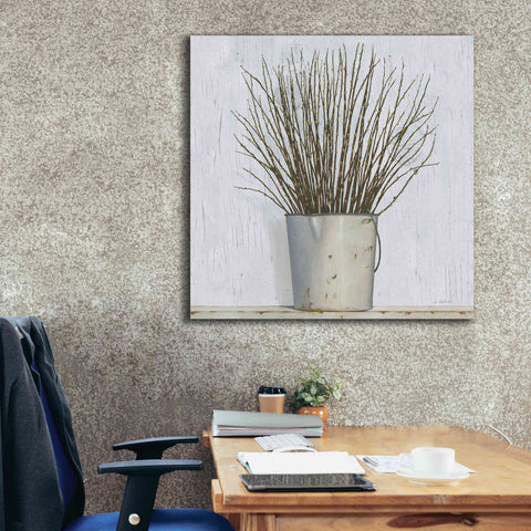 Image of 'Early Spring' by James Wiens, Canvas Wall Art,37 x 37