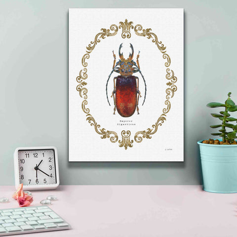 Image of 'Adorning Coleoptera I' by James Wiens, Canvas Wall Art,12 x 16