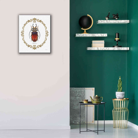 Image of 'Adorning Coleoptera I' by James Wiens, Canvas Wall Art,20 x 24
