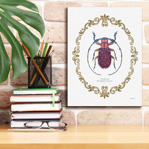 Image of 'Adorning Coleoptera II' by James Wiens, Canvas Wall Art,12 x 16