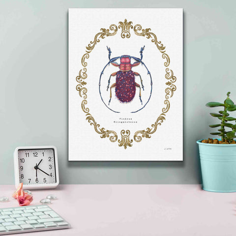 Image of 'Adorning Coleoptera II' by James Wiens, Canvas Wall Art,12 x 16