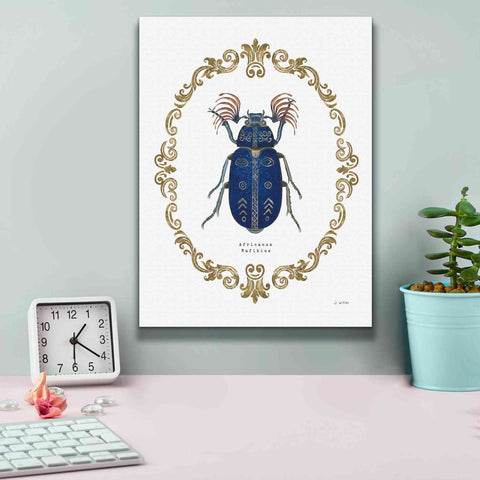 Image of 'Adorning Coleoptera III' by James Wiens, Canvas Wall Art,12 x 16