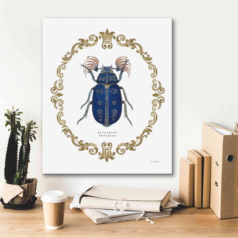 Image of 'Adorning Coleoptera III' by James Wiens, Canvas Wall Art,20 x 24