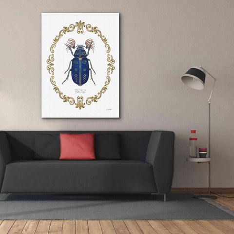 Image of 'Adorning Coleoptera III' by James Wiens, Canvas Wall Art,40 x 54