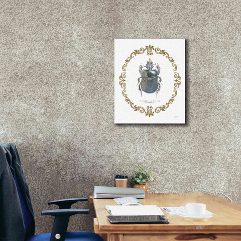 Image of 'Adorning Coleoptera IV' by James Wiens, Canvas Wall Art,20 x 24