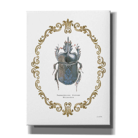 Image of 'Adorning Coleoptera IV' by James Wiens, Canvas Wall Art,12x16x1.1x0,20x24x1.1x0,26x30x1.74x0,40x54x1.74x0