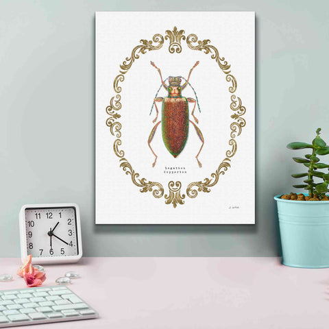 Image of 'Adorning Coleoptera VI' by James Wiens, Canvas Wall Art,12 x 16