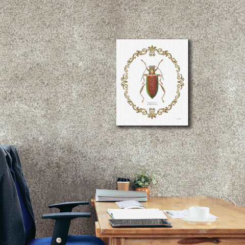 Image of 'Adorning Coleoptera VI' by James Wiens, Canvas Wall Art,20 x 24