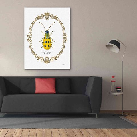 Image of 'Adorning Coleoptera VII' by James Wiens, Canvas Wall Art,40 x 54