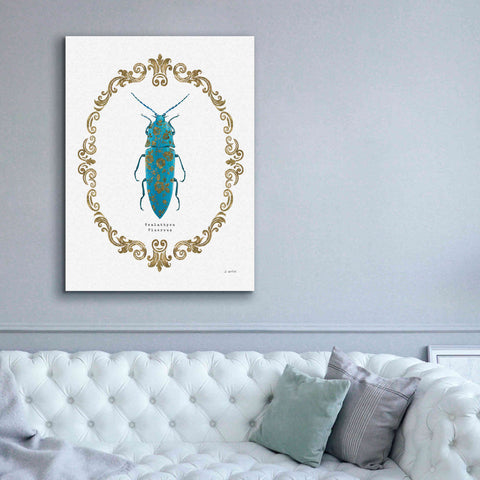 Image of 'Adorning Coleoptera VIII' by James Wiens, Canvas Wall Art,40 x 54