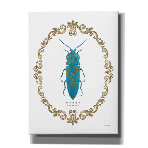 Image of 'Adorning Coleoptera VIII' by James Wiens, Canvas Wall Art,12x16x1.1x0,20x24x1.1x0,26x30x1.74x0,40x54x1.74x0