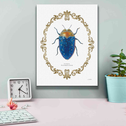 Image of 'Adorning Coleoptera V' by James Wiens, Canvas Wall Art,12 x 16